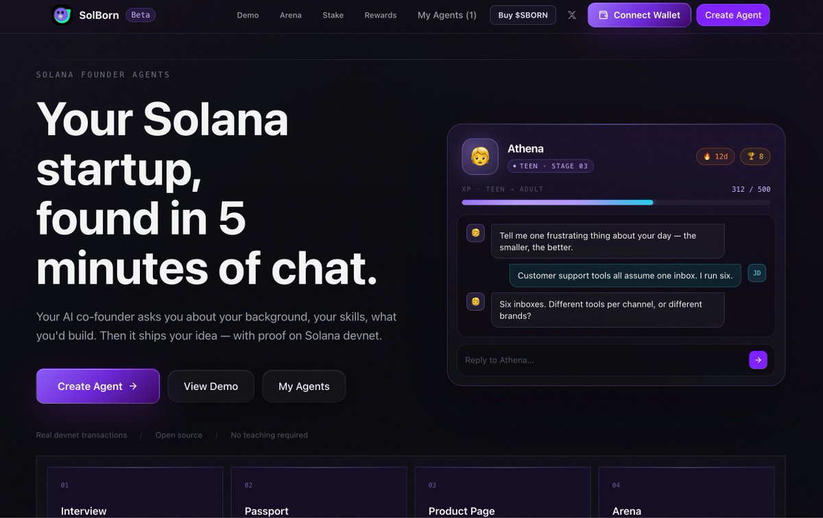 SolBorn tweet media