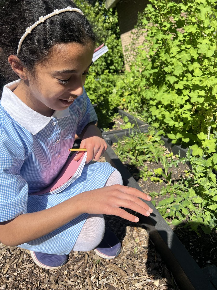 StJosephsCP's tweet image. This afternoon was our final fieldwork session, this time recording the different mini beasts found in our school grounds. Next lesson, the children in 5E will decide how to present their data. 📊 📈 📊 
#Geography #fieldwork #outdoors