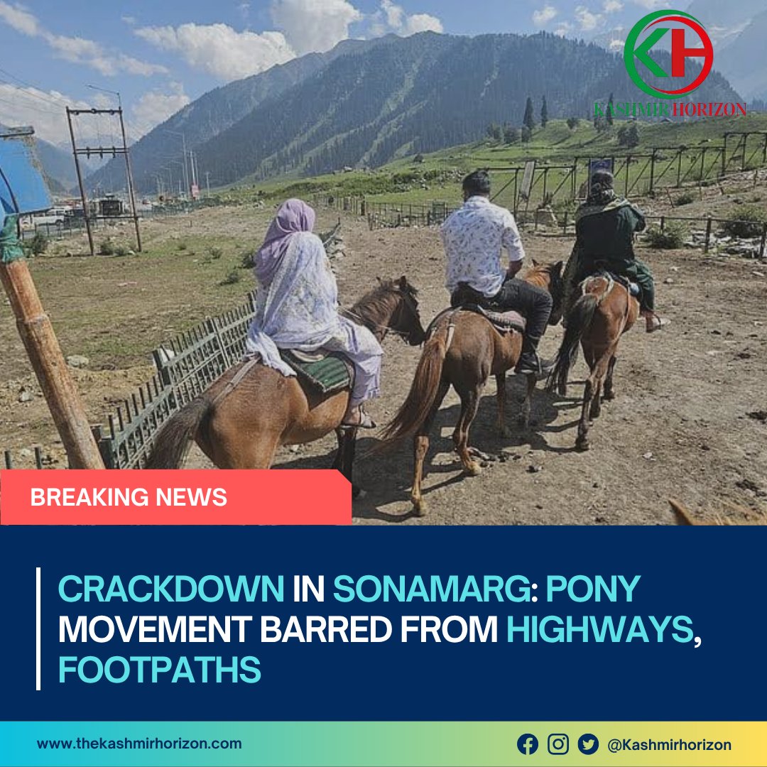 KashmirHorizon's tweet image. Crackdown in #Sonamarg: #Pony movement barred from #highways, #footpaths 

@diprjk @Tourismsonamarg
@dcganderbal thekashmirhorizon.com/2026/04/30/cra…