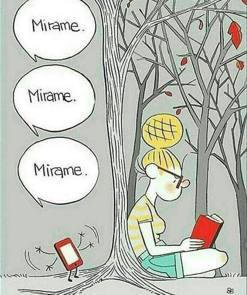 👏👏👏👏