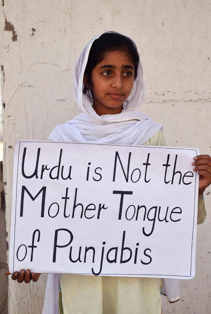 چیمہ ہارون tweet media