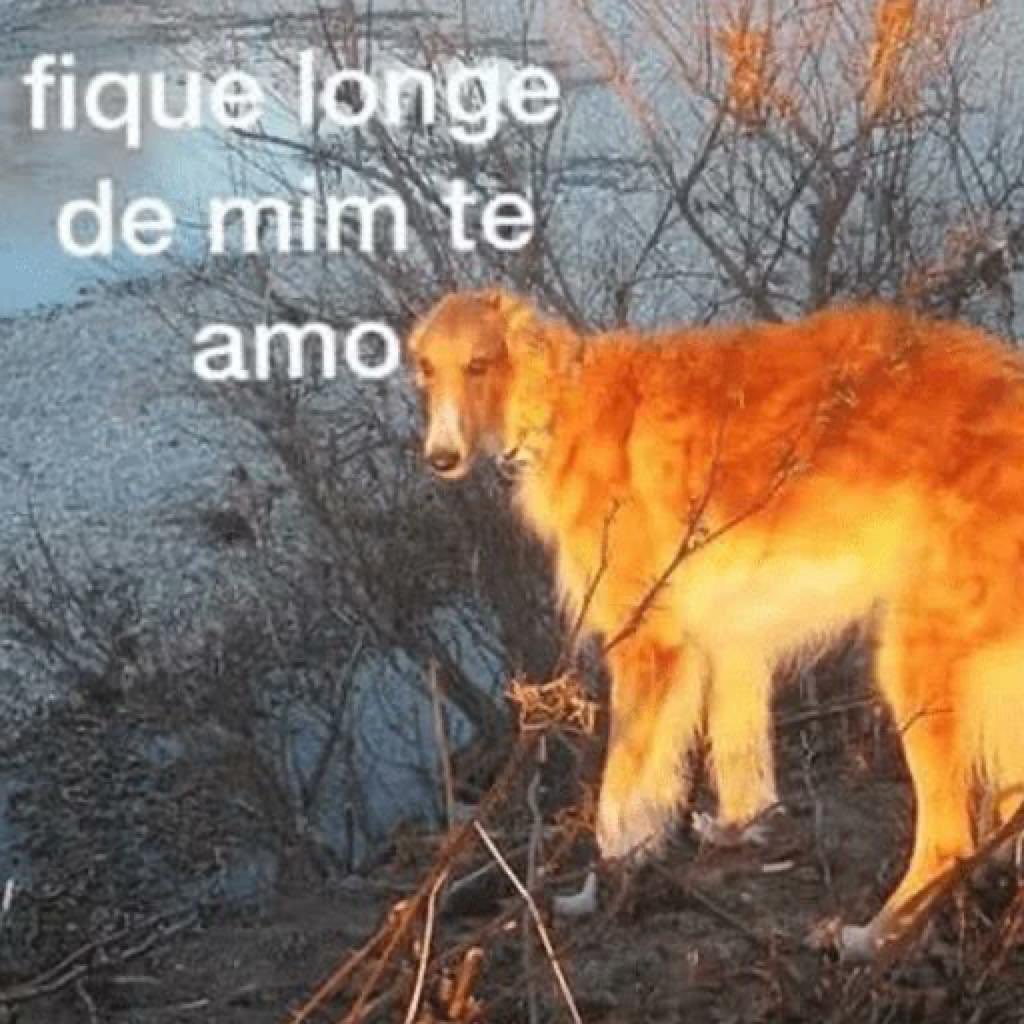 kaykay balão🎈 tweet media