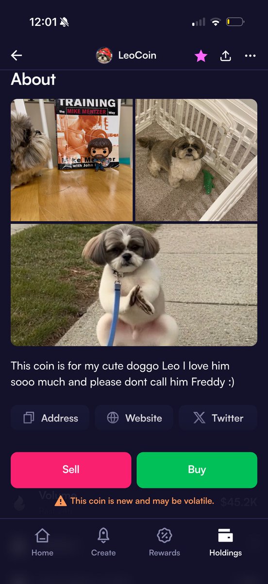 LEO 🦁 tweet media