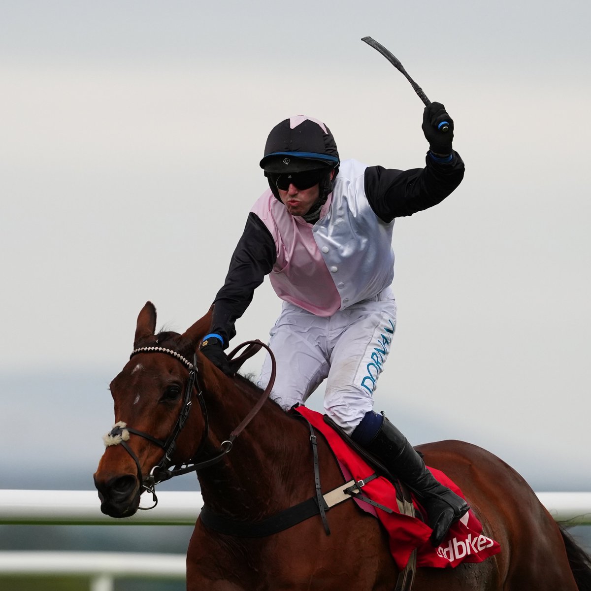 AtTheRaces's tweet photo. Happy retirement, Bob! ❤️ https://t.co/8WHkjh03gX