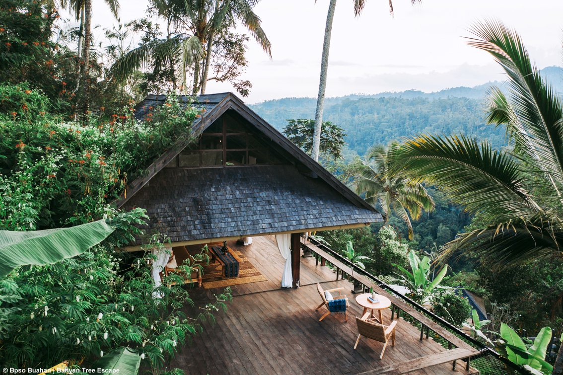 TurismoItaliaNw's tweet photo. Bali senza filtri: a Buahan il lusso lascia spazio alla giungla (e a te stesso), ecco una vacanza rigenerante in Indonesia
Leggi la notizia https://t.co/9L12qUbcFV 

#bali #indonesia #buahan #luxury #banyantree #BanyanTreeHotels #BanyanTreeEscape #StayForGood #turismo https://t.co/wogNsP1Pug