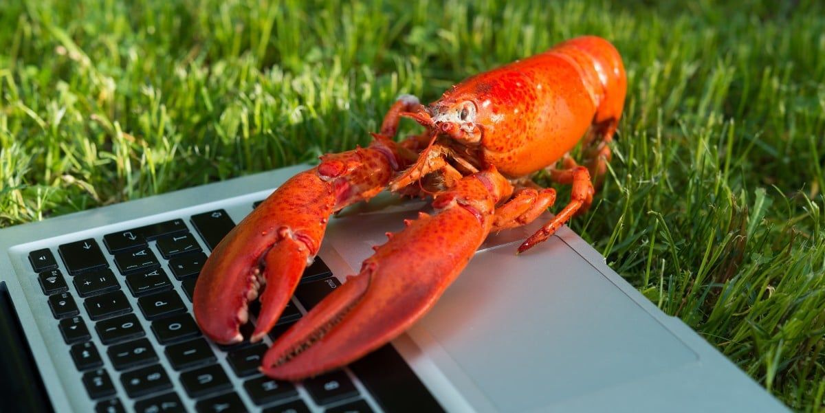 omvapt's tweet image. 30 #ClawHub #skills secretly turn #AI_agents into #crypto swarm 
buff.ly/EhgR6Ld