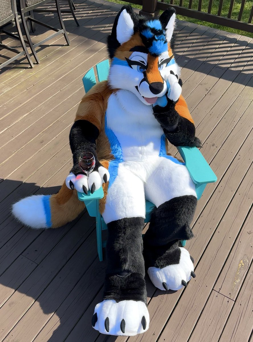 Ari 🦊 tweet media