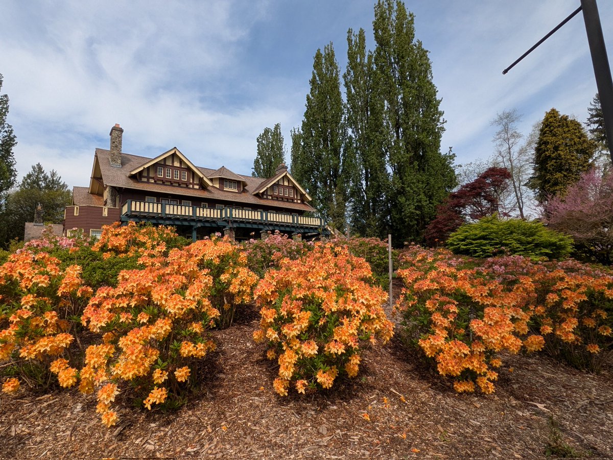 りょこ💙💛🐦@旅先で骨折したけど治療終わりました！ tweet media