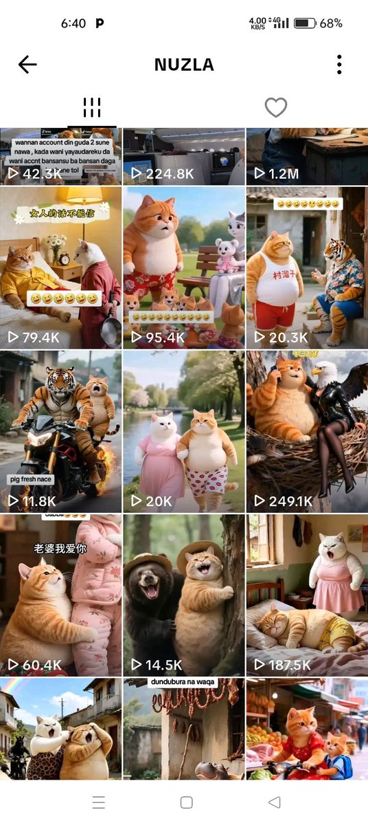 Mohammed Auwal Hussain tweet media