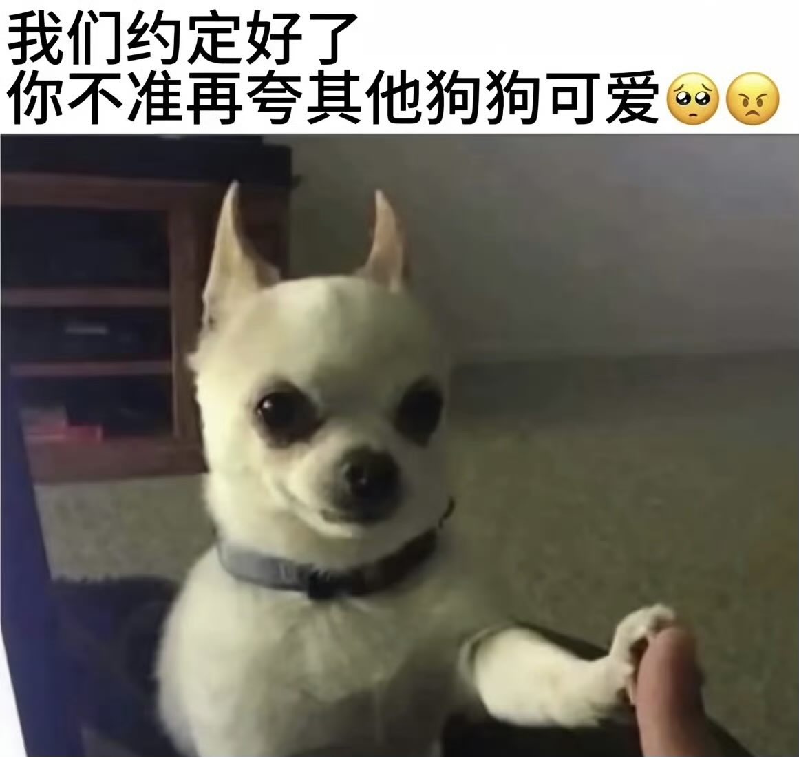 Yueliang tweet media