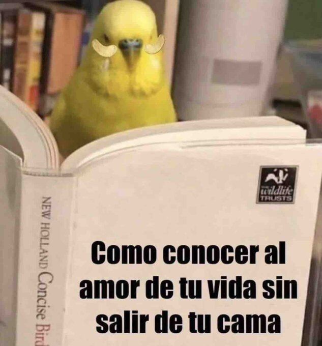 cartonero tweet media