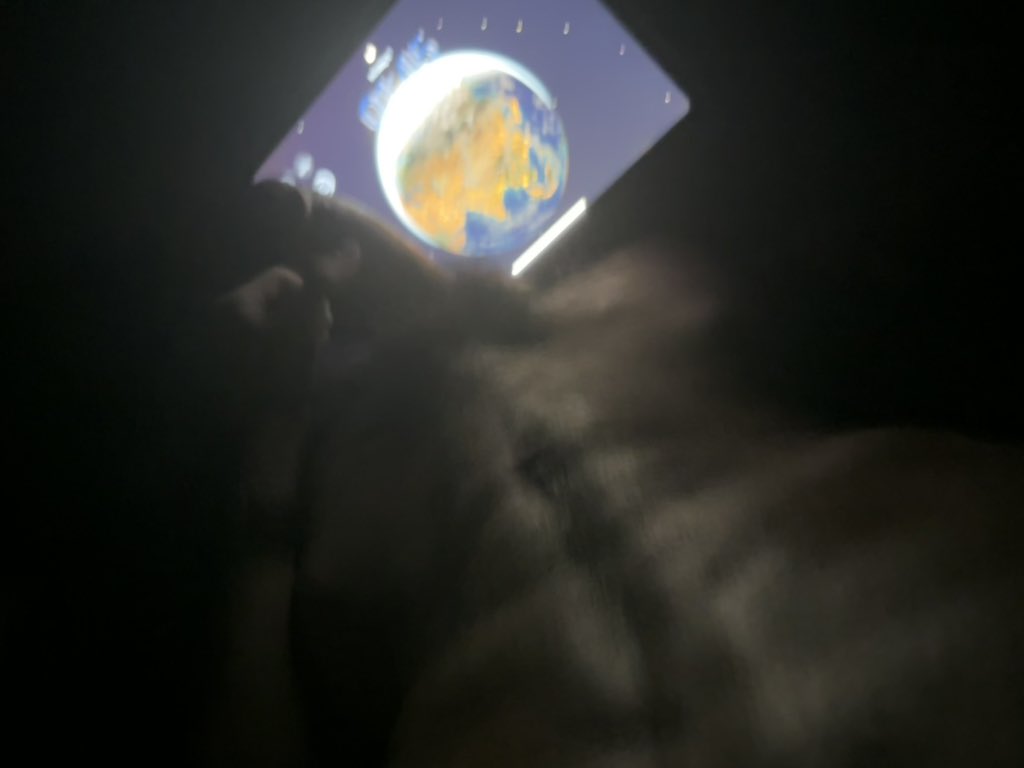 比猫困 tweet media