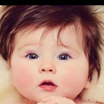 أبومحمد العـاصمي tweet media
