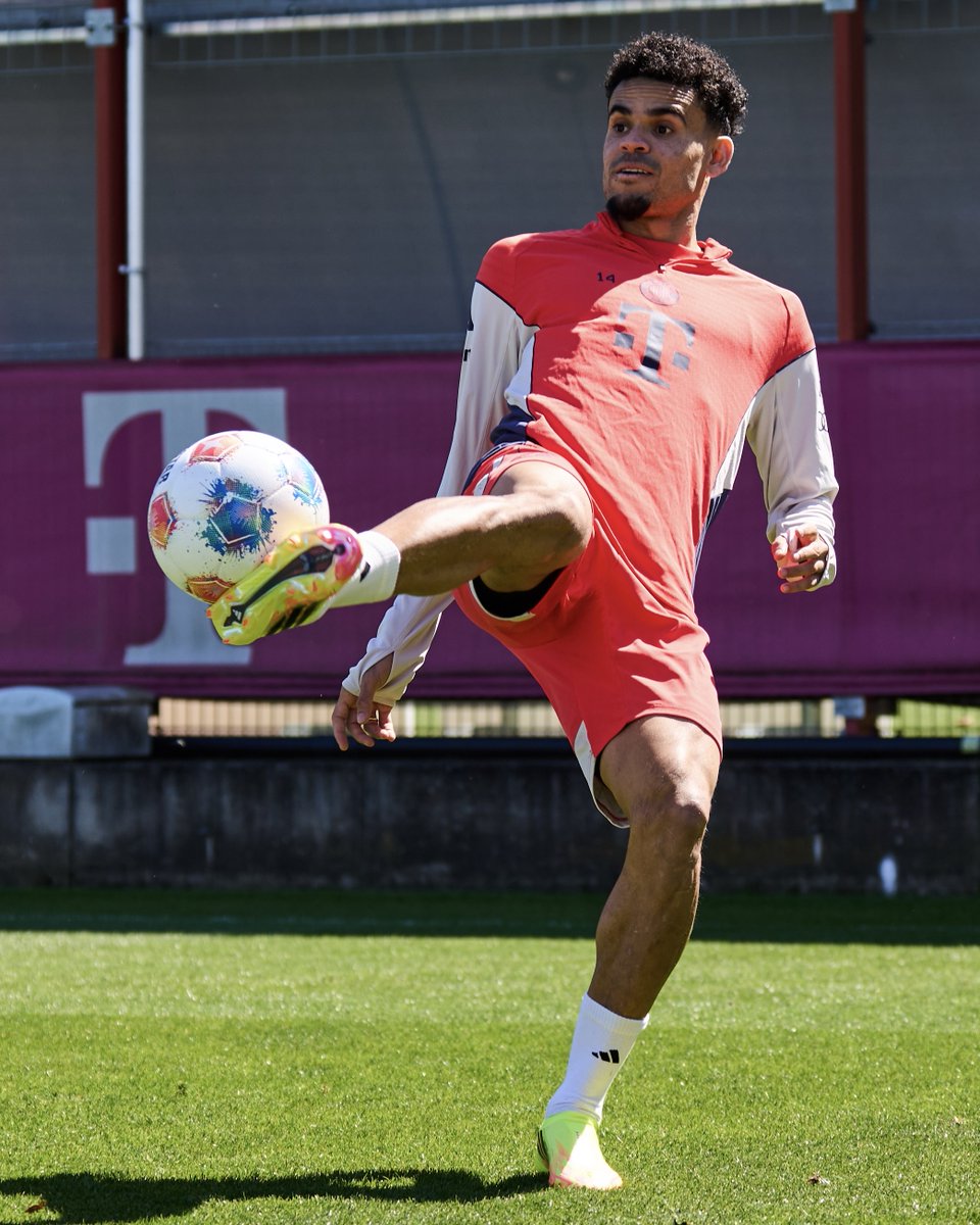 FC Bayern München Español tweet media