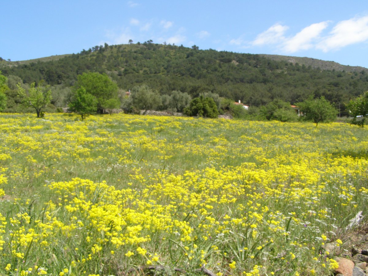 Panayiotis G Dimitrakopoulos tweet media