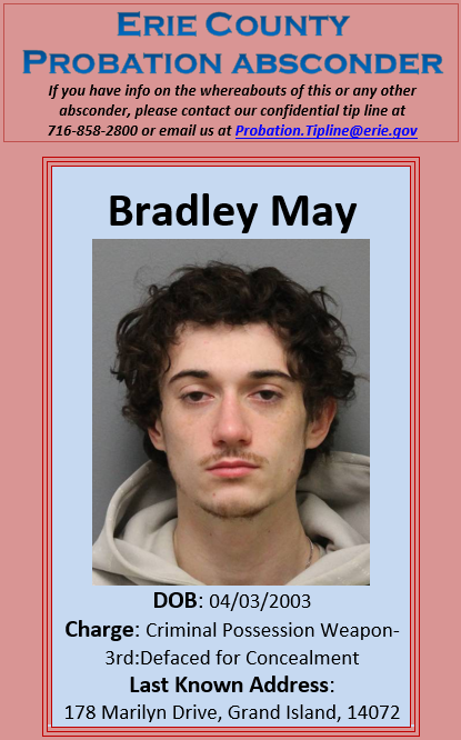 EC Probation tweet media