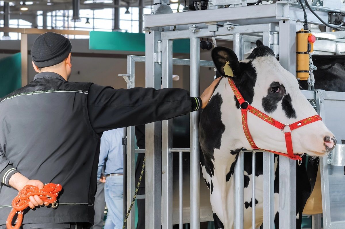 JToulousain's tweet image. 57% des #agriculteurs d' #Occitanie sous le #SMIC : la Coordination rurale alerte sur leur survie 
buff.ly/3LjHwLm