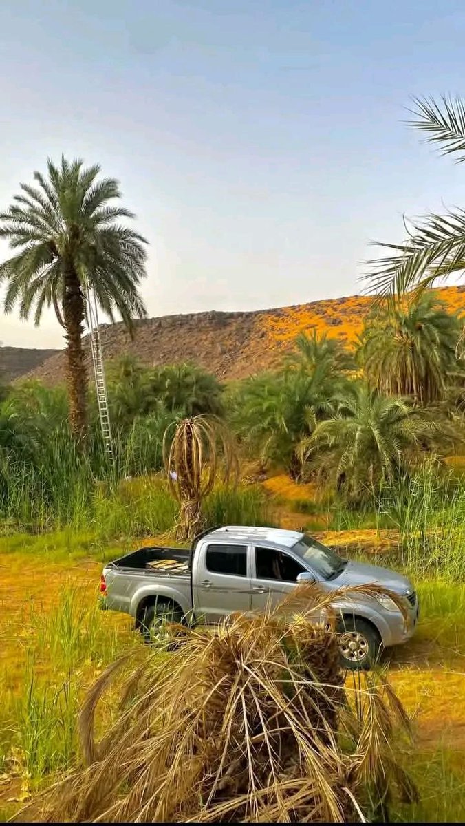 🇲🇷الهام منت دلاهي tweet media