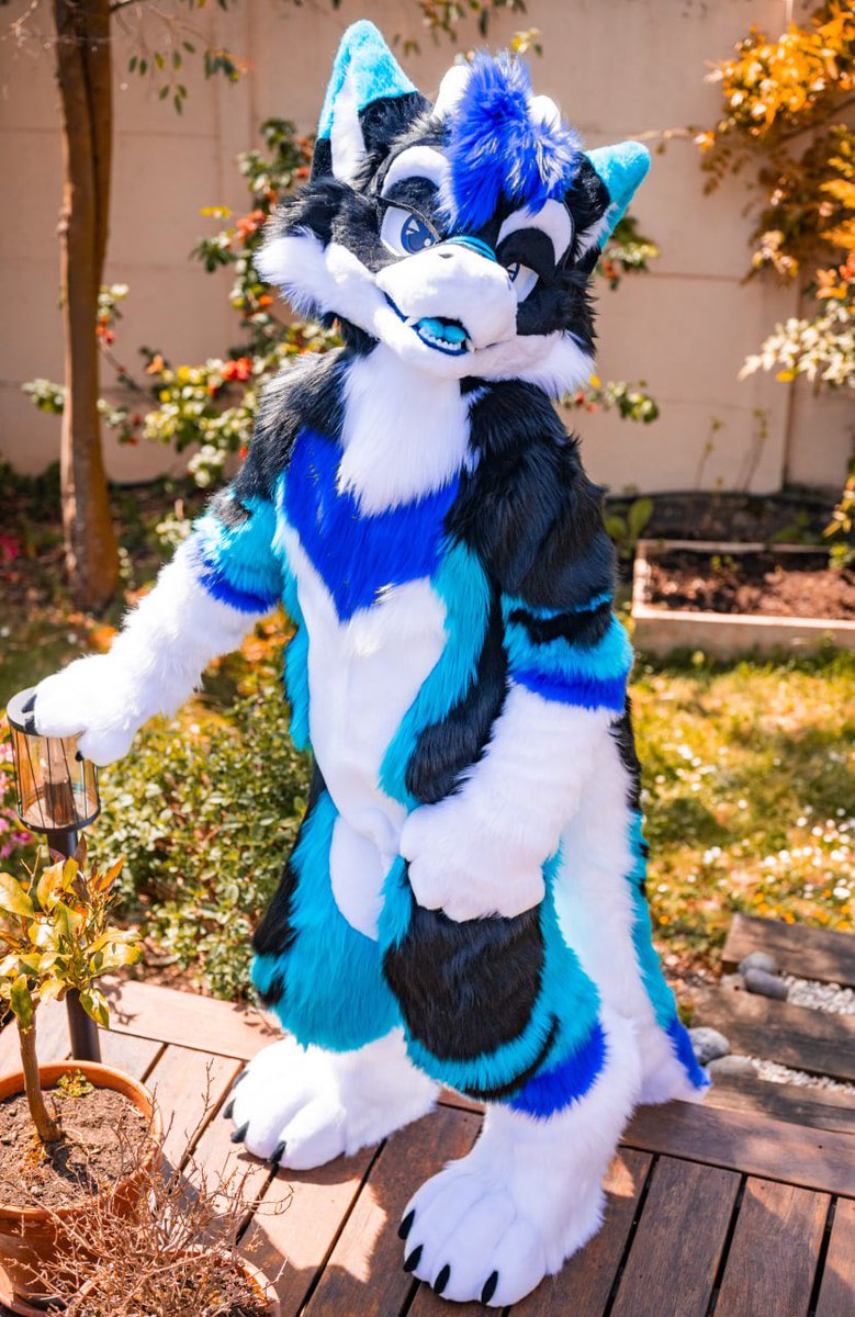 HybridLabs Fursuits 🐺🐉 tweet media