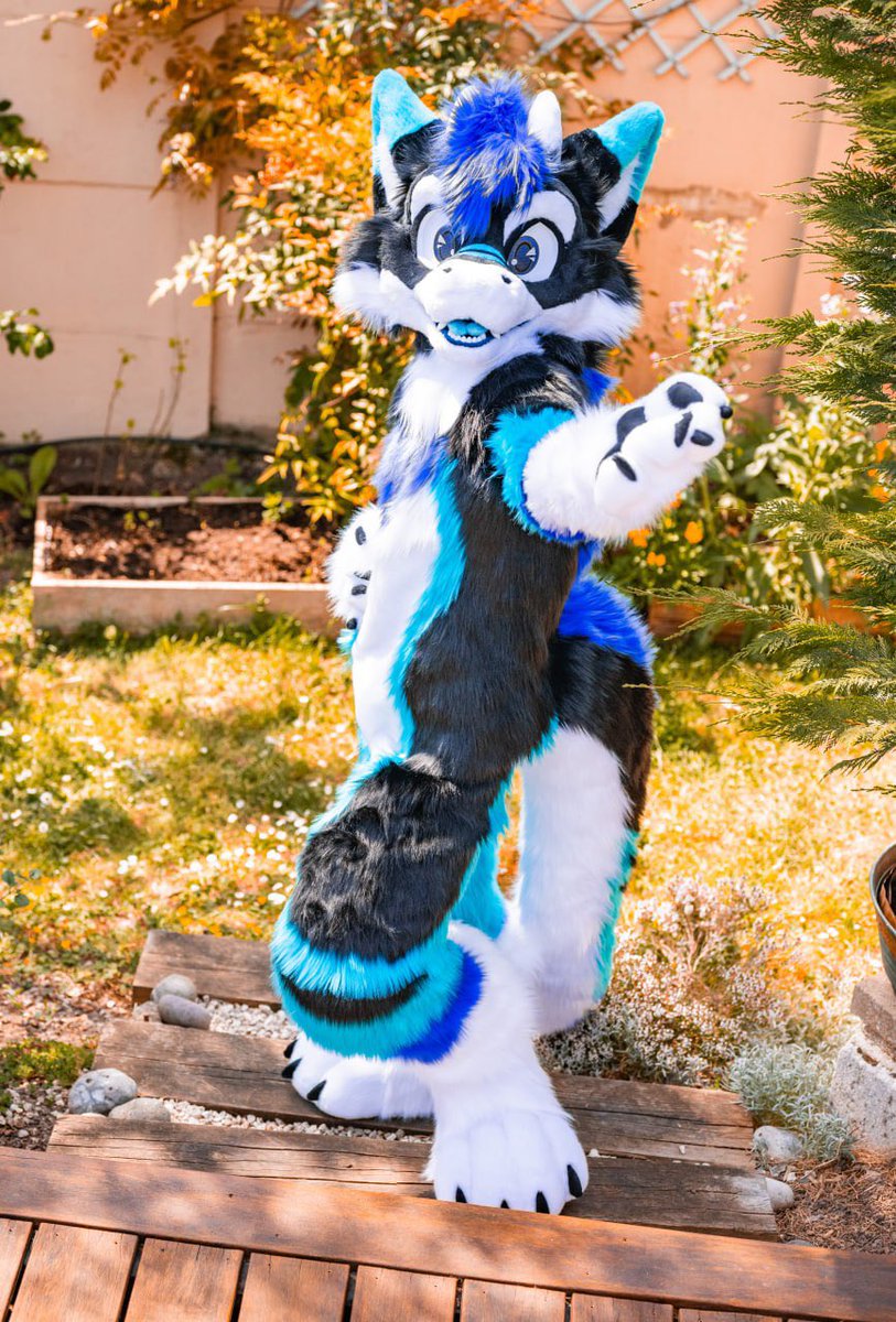 HybridLabs Fursuits 🐺🐉 tweet media