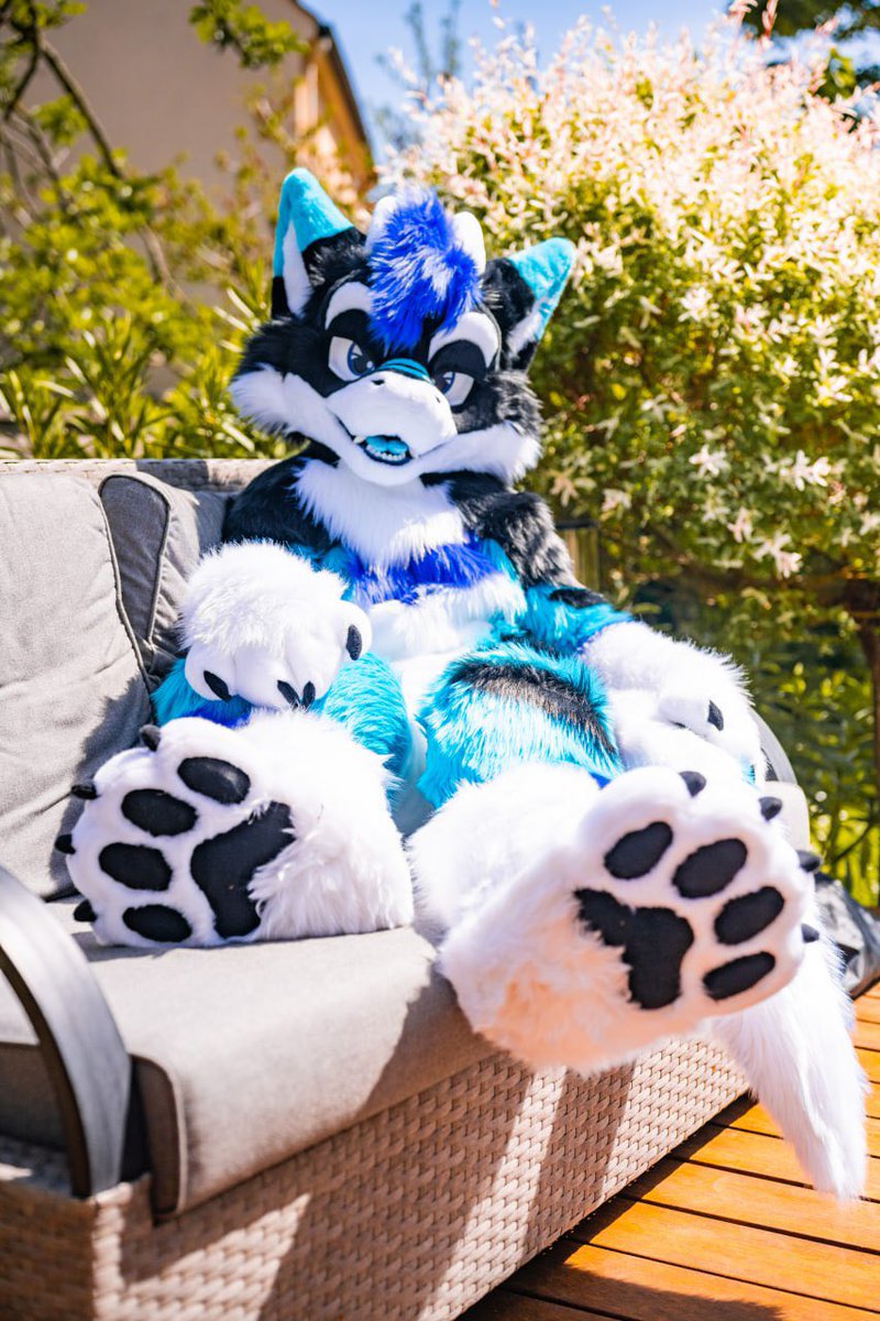 HybridLabs Fursuits 🐺🐉 tweet media
