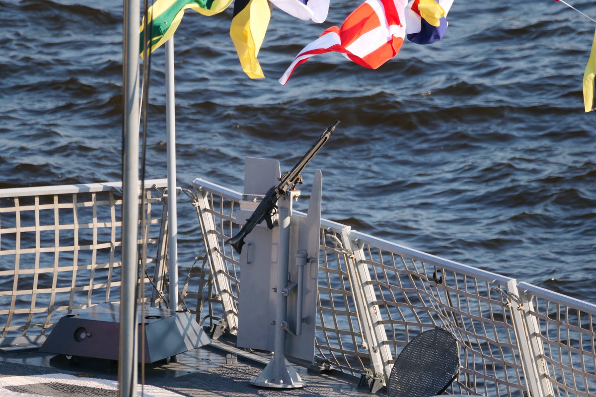 hitonoia 🍥 tweet media