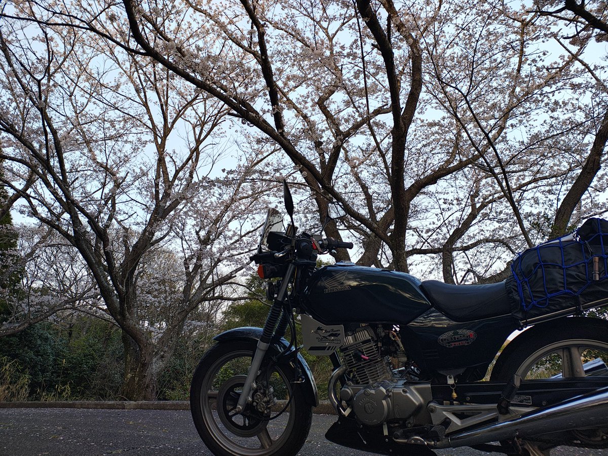 MiwaBase's tweet photo. 令和8年の4月もあと1時間半くらいか
ほんと早いねー
それでは皆様おやすみなさい🐑.。ƶƵ
#CB125T https://t.co/0SqkOTubYj