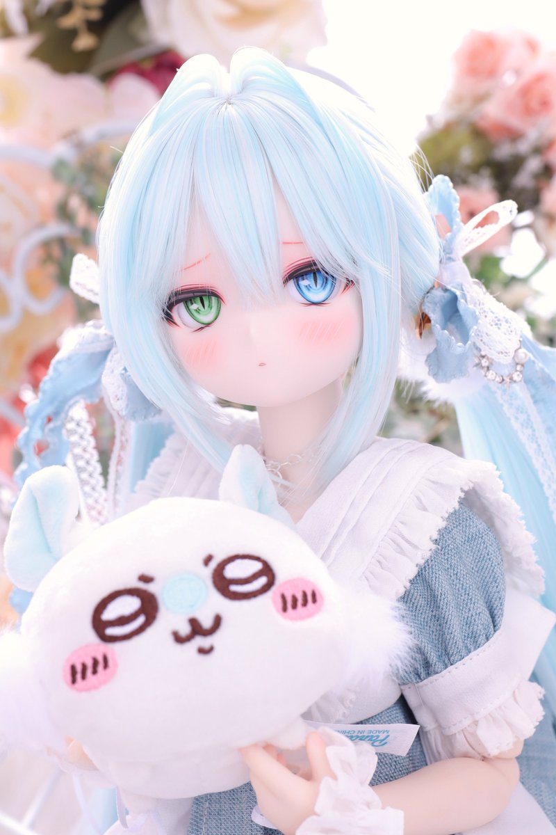 こま🧸 tweet media