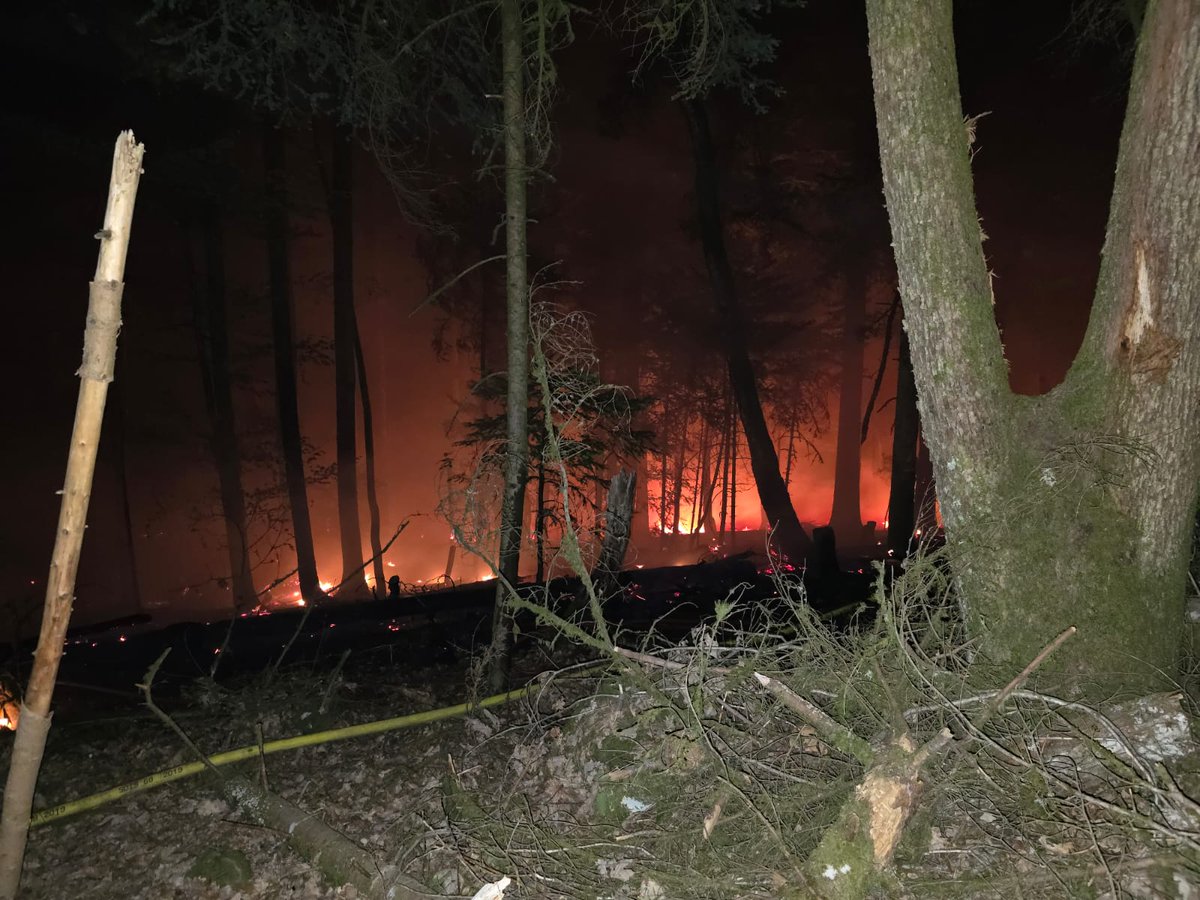 sdis68's tweet photo. 🔥🌲 Sickert : feu de forêt maîtrisé après une intervention soutenue dans la nuit du jeudi 30.04 
🚒70 sapeurs-pompiers mobilisés en zone difficile d’accès, 5 hectares parcourus.
✅ Aucune victime
💧 Intervention terminée, surveillance maintenue

⚠️ Vigilance en milieu naturel ! https://t.co/mZPPa0VG5s