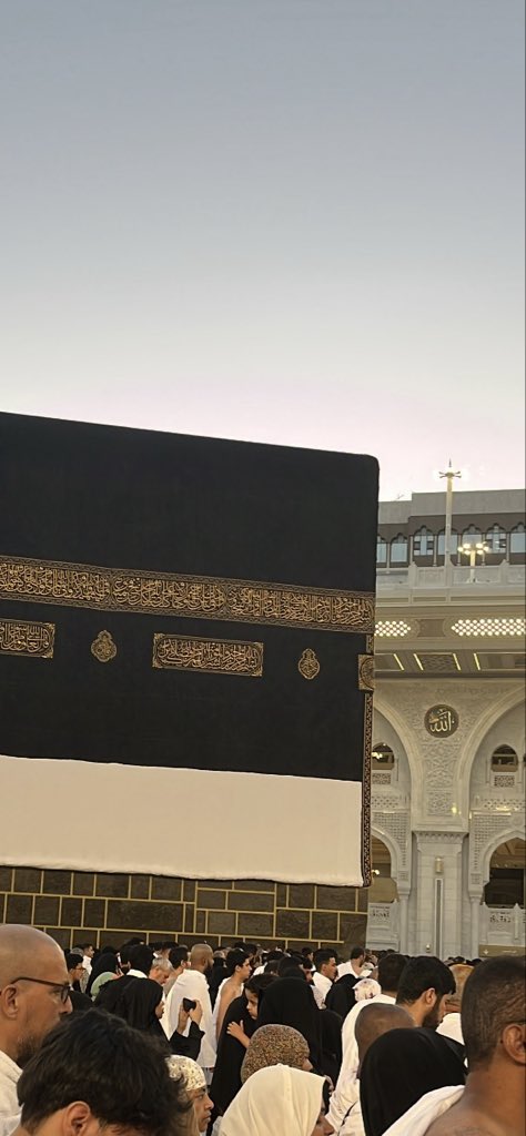 شـّا tweet media