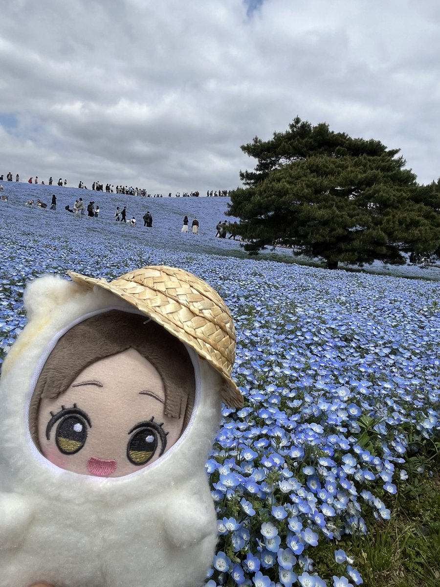 さんふら🌻 HIF選抜day1・HIF day1 tweet media