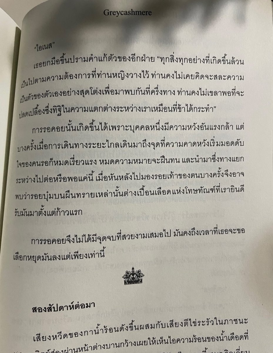 ร้านกลิ่นหนังสือ tweet media