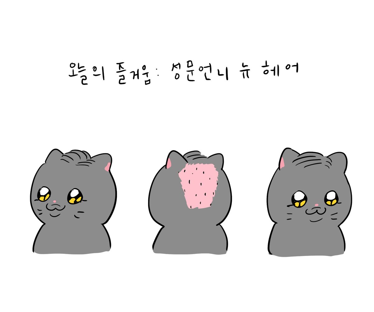 김영철 tweet media