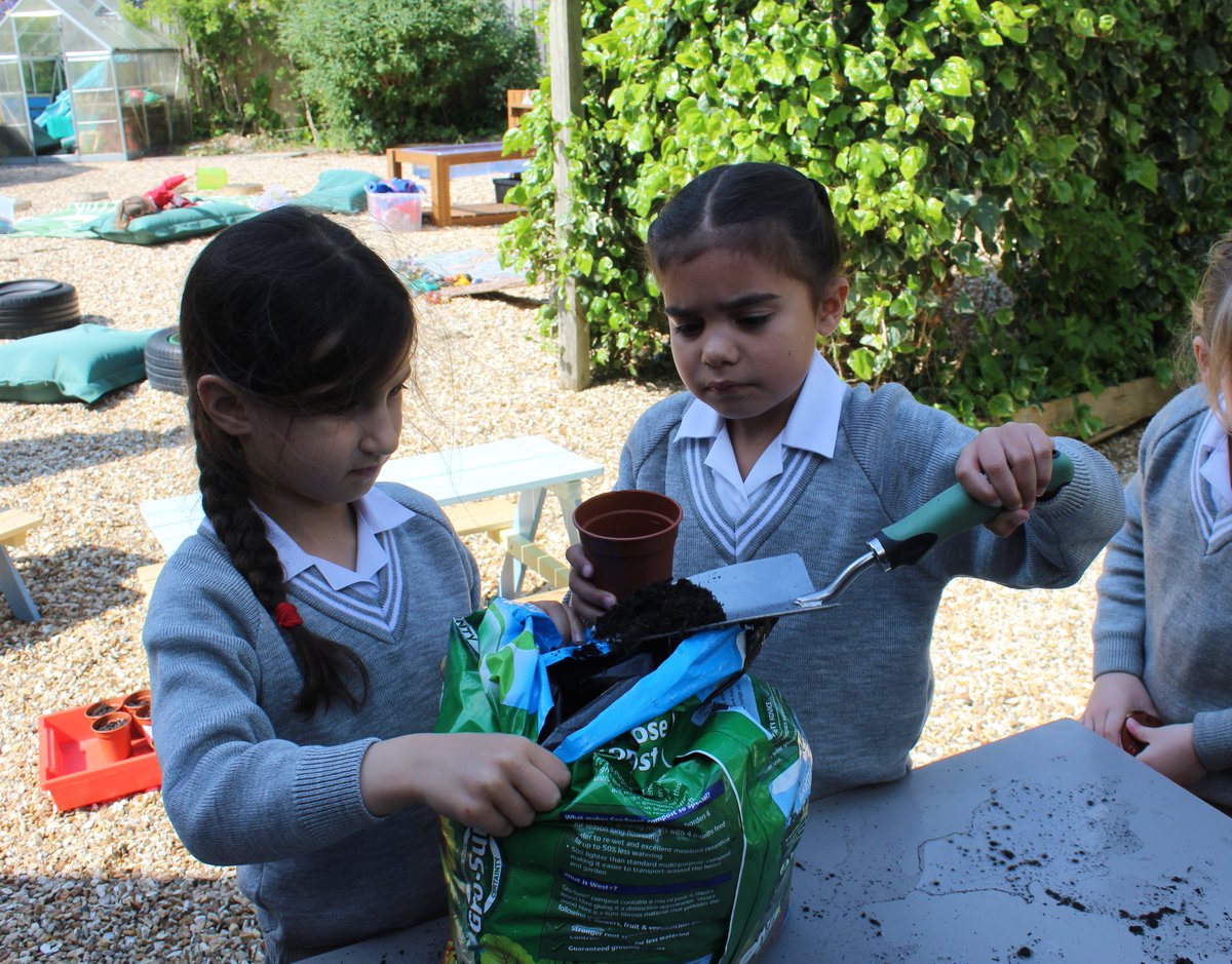 DurlstonPreprep's tweet photo. #DurlstonYr2 are learning about the conditions needed for growth.  And so begins the quest to see who can grow the tallest sunflower! #DurlstonScience https://t.co/y1aQhGTfsh