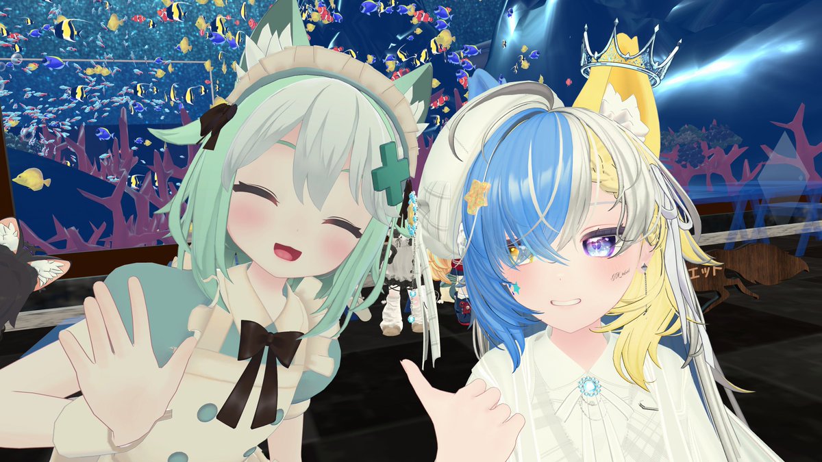 まちゃぽん(machaponn) tweet media