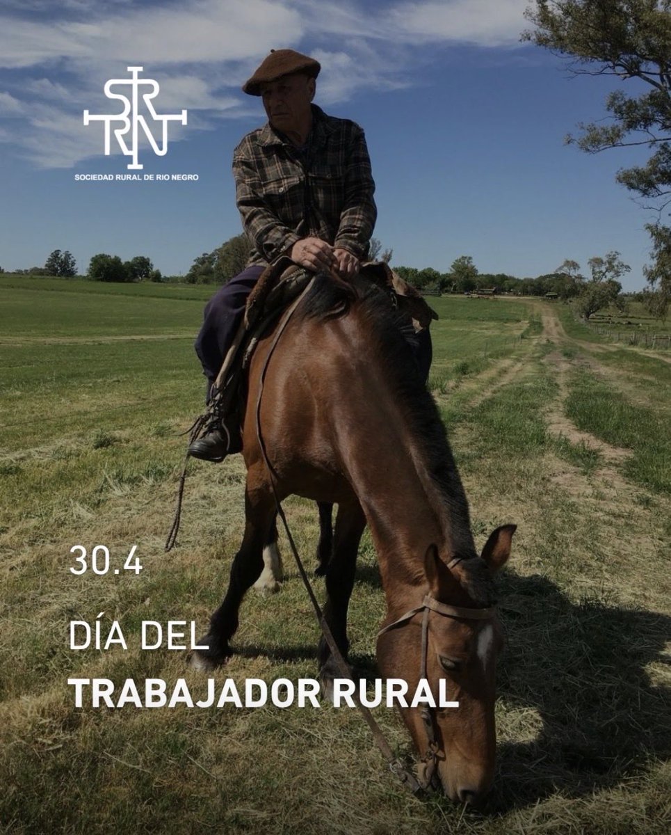 Fernando Ripoll tweet media