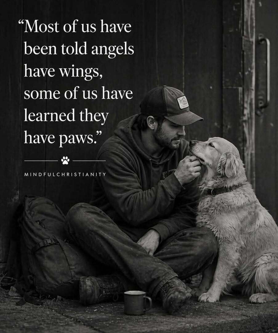 psworldwide's tweet photo. https://t.co/RSHssVapiY from #ILoveDogsandCanineCapers https://t.co/IKOeTs8Nzl