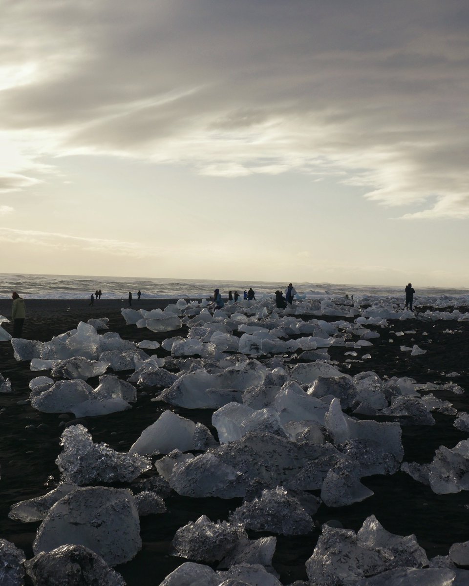 BusTravel Iceland tweet media