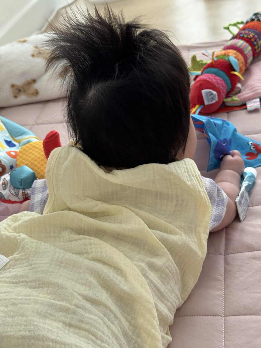 _MIYAONG's tweet photo. 머리숱 장난 아닌 4개월 아긔 (곧 5개월) https://t.co/UyvHRQPmLE