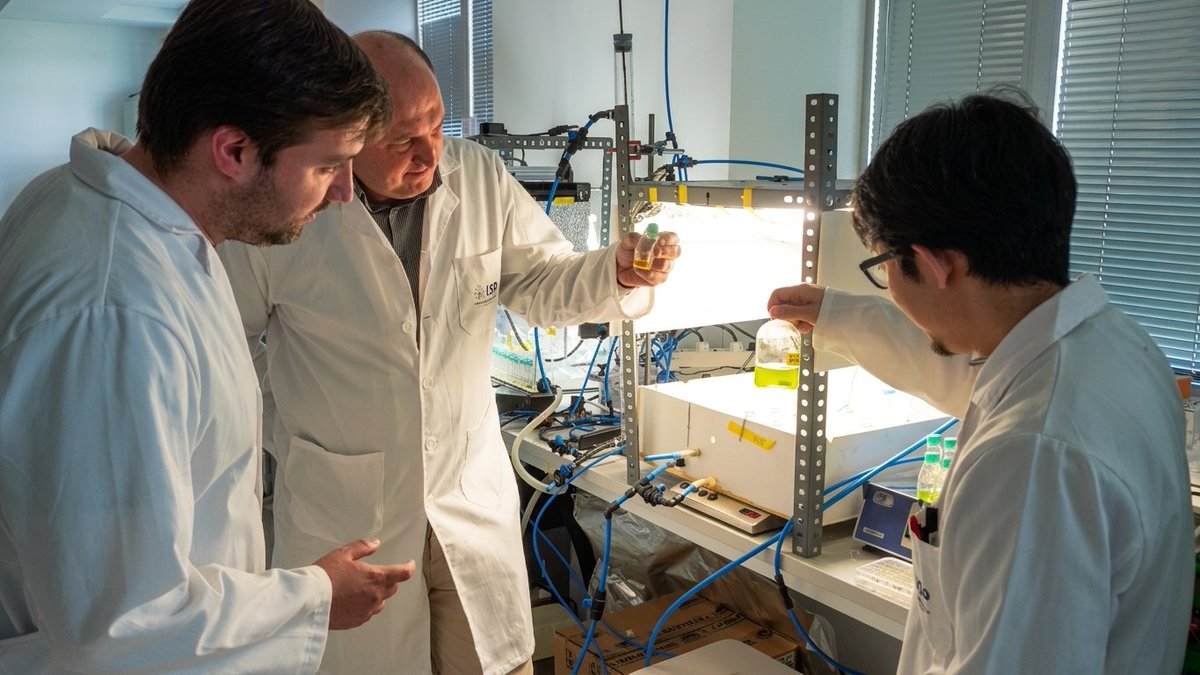 ISPUva's tweet photo. 🌱 Can food-industry wastewater become biostimulants and reclaimed water with microalgae?

At ISP-UVa, we’re exploring this via #Waste2Green (@EITFood).

Promising strains show strong growth → real potential for resource recovery and reuse.

🔗 More info in bio https://t.co/ZDoN8a6bzT