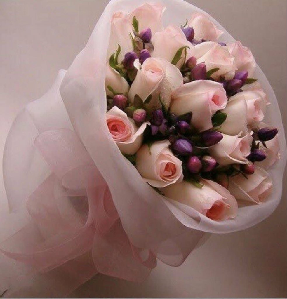 AlexAyrtonpOMv's tweet image. #jeddahMassage in #riyadh
🍃🍃🍃🍃🍃🌾🌾🌾
Massage in #jeddah
🪂🪂🪂🪂🪂🪂
Wa.me/+84967096187

💯💯🎊🎊🎊🆙🆙🆙