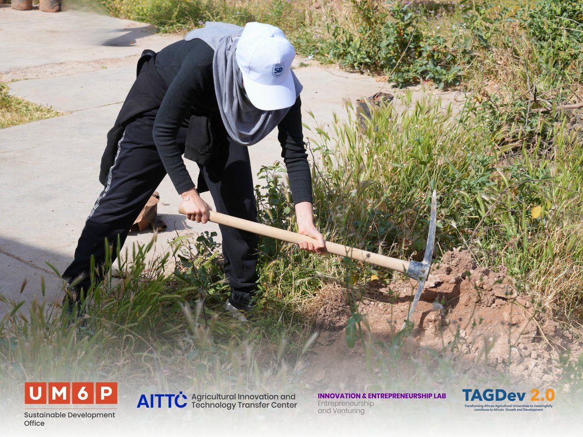 UM6P_IE_Lab's tweet photo. On April 27, the UM6P Sustainable Development Office organized a tree planting workshop at Nzalat Laadam school with AITTC and the I&amp;E Lab under the TAGDev 2.0 program. 30 students learned about sustainability and SDGs before planting 92 trees and 100 plants. https://t.co/NSt6gsHCdR