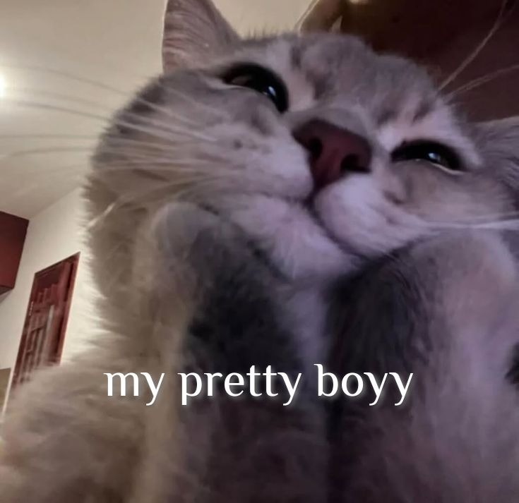 MENFESS PAGE MODE tweet media