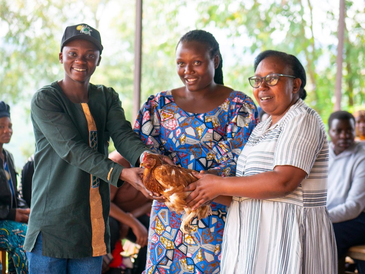 adepe_rwanda's tweet photo. #UPDATES!

Earlier this week, with support from @unicefrw through Chinese cooperation, marked the launch of the distribution of 560 chickens across 7 targeted #ECD centers, advancing child nutrition and strengthening household resilience.

#EggAndChicken for every child. https://t.co/AahnToXgZj