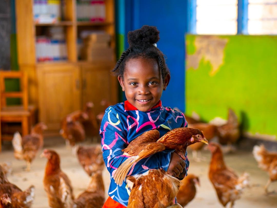adepe_rwanda's tweet photo. #UPDATES!

Earlier this week, with support from @unicefrw through Chinese cooperation, marked the launch of the distribution of 560 chickens across 7 targeted #ECD centers, advancing child nutrition and strengthening household resilience.

#EggAndChicken for every child. https://t.co/AahnToXgZj