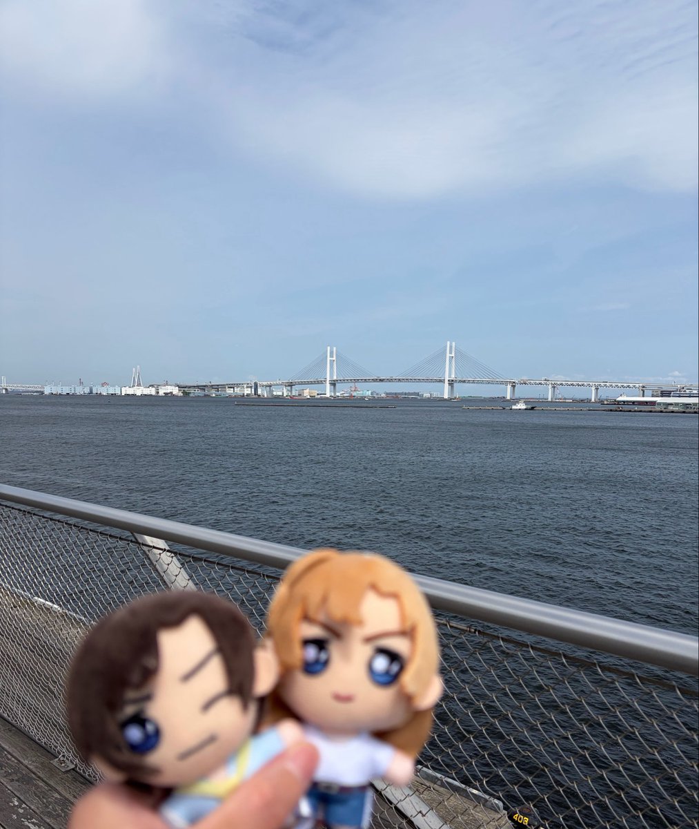 睦月雑多垢@6羽捕る済🏍️🪽 tweet media