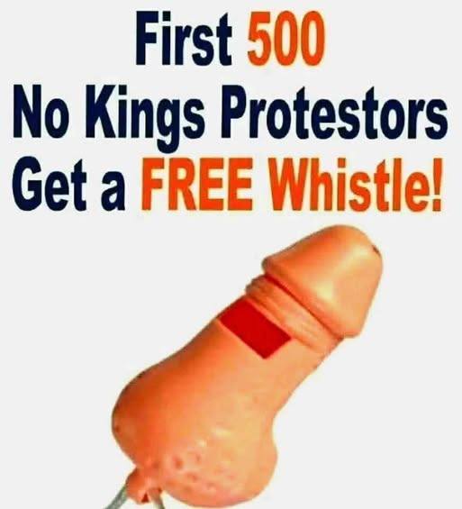 SaltyGoat tweet media