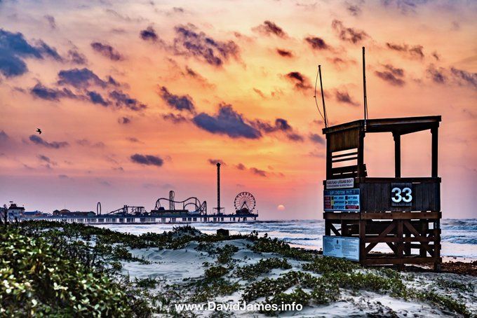 The Salty Dog Galveston tweet media