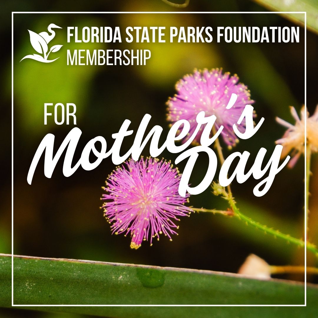FL State Parks Foundation tweet media