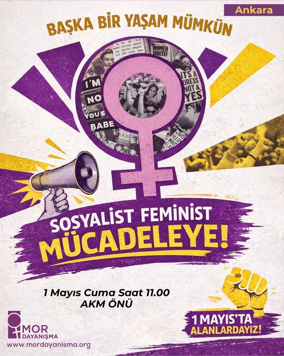 Ankara Mor Dayanışma tweet media